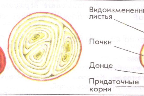 Почему не заходит на кракен